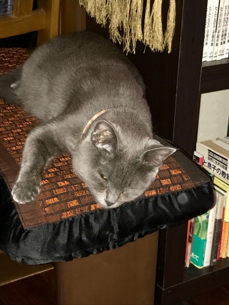 f:id:bochibochidou:20180118200723j:plain f:id:bochibochidou:20180118200723j:plain