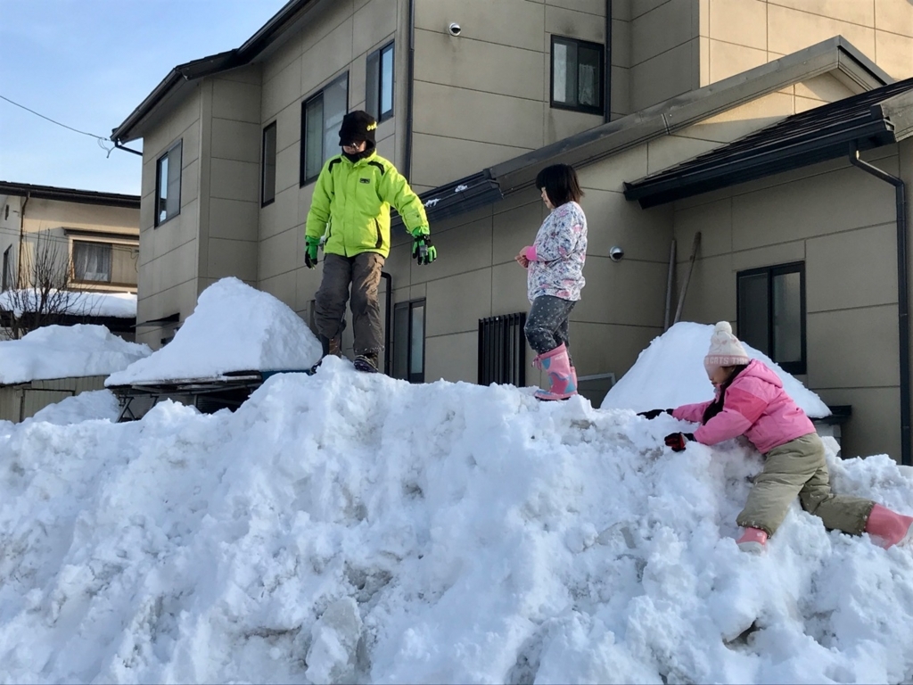 f:id:bochibochidou:20180209204441j:plain