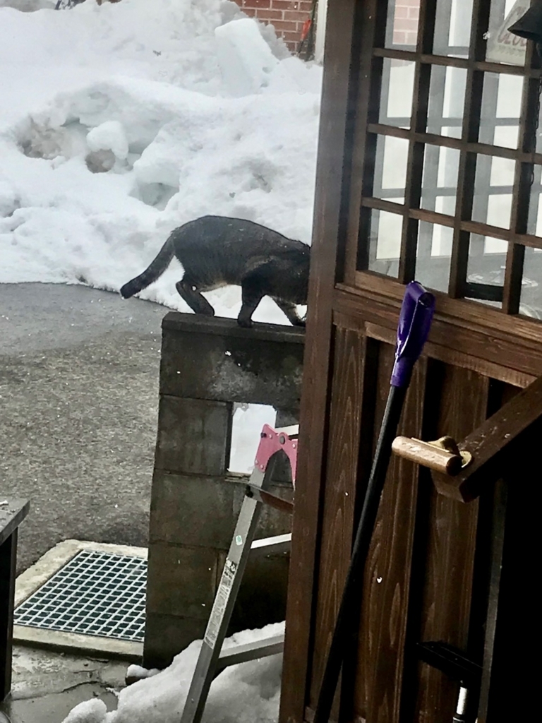 f:id:bochibochidou:20180224195309j:plain