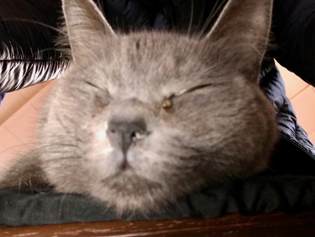 f:id:bochibochidou:20180303201844j:plain f:id:bochibochidou:20180303201844j:plain