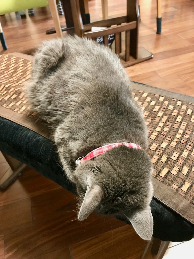 f:id:bochibochidou:20180310221036j:plain