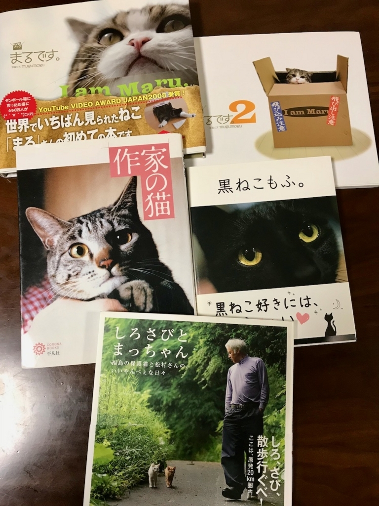 f:id:bochibochidou:20180328200205j:plain f:id:bochibochidou:20180328200205j:plain