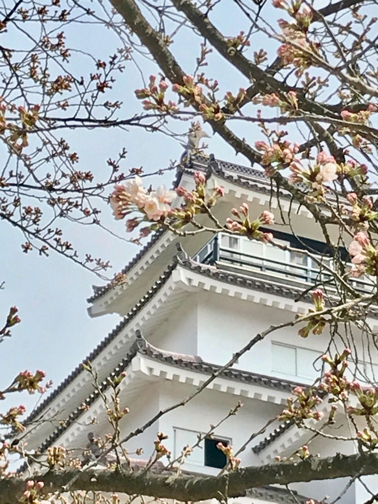 f:id:bochibochidou:20180403201644j:plain f:id:bochibochidou:20180403201644j:plain
