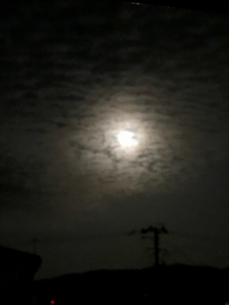 f:id:bochibochidou:20180403202516j:plain f:id:bochibochidou:20180403202516j:plain