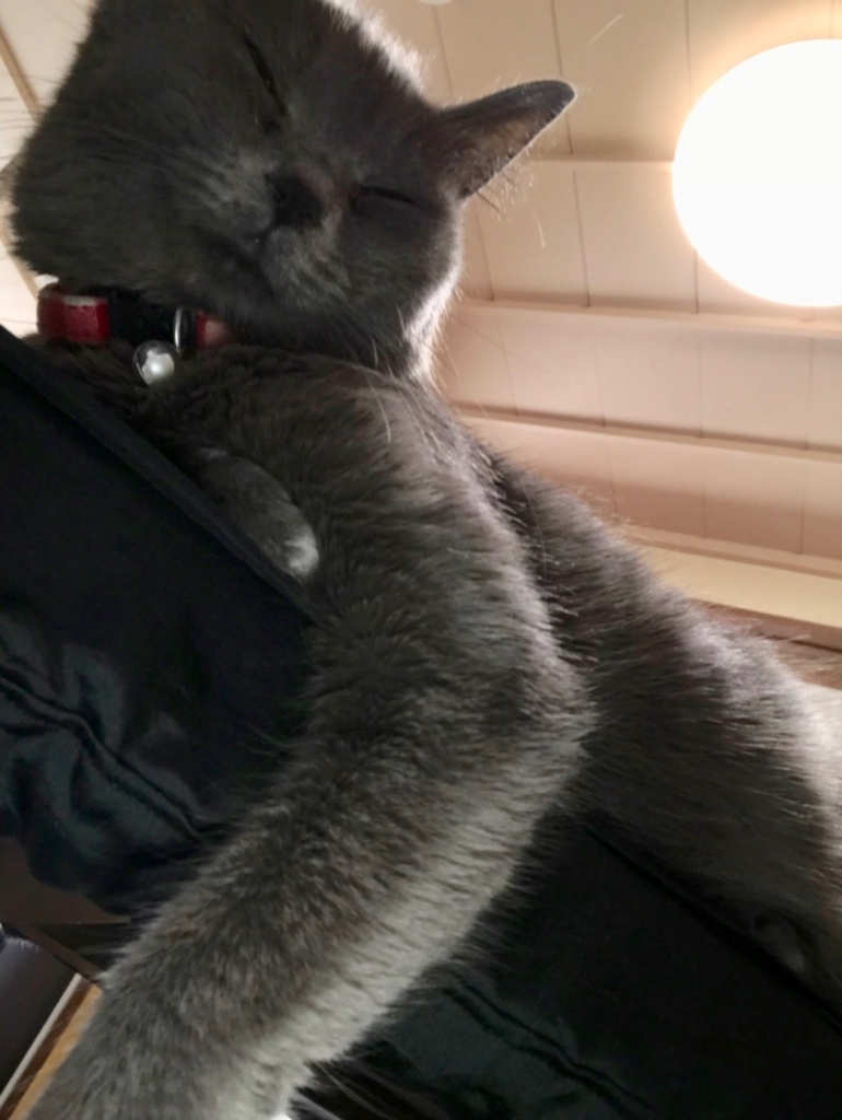 f:id:bochibochidou:20180415214743j:plain