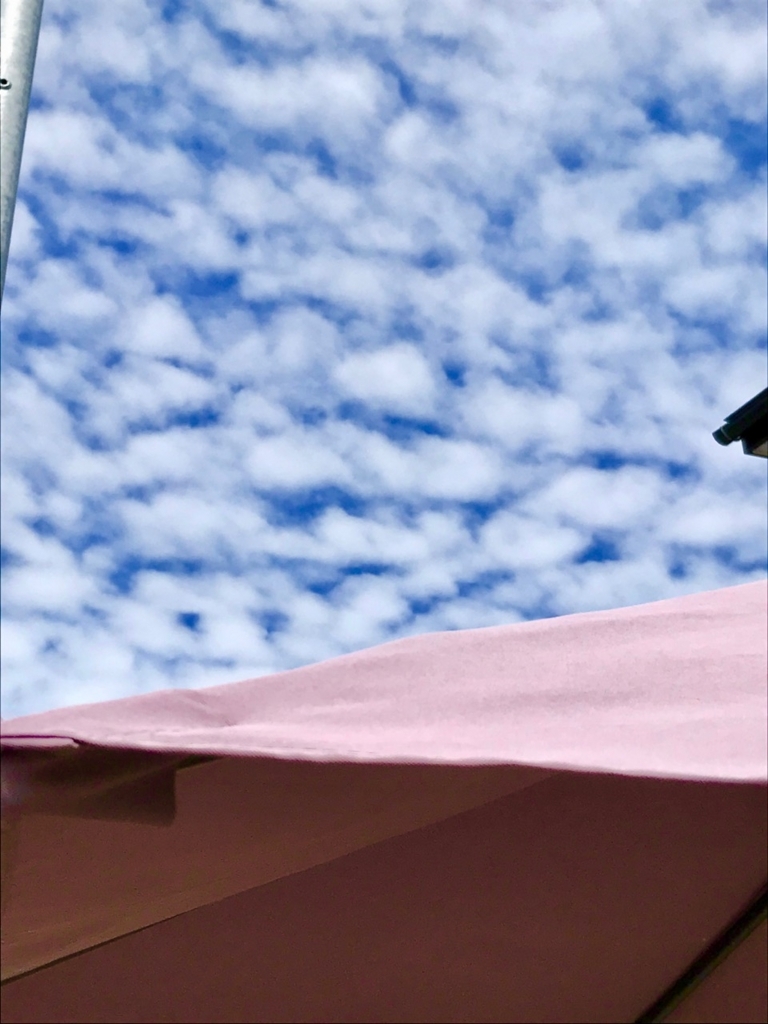 f:id:bochibochidou:20180415214906j:plain
