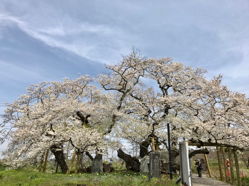 f:id:bochibochidou:20180418201842j:plain
