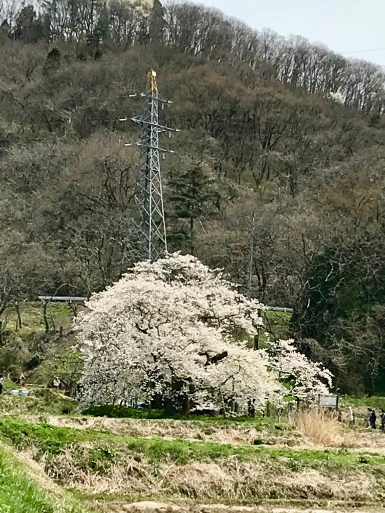 f:id:bochibochidou:20180418201906j:plain