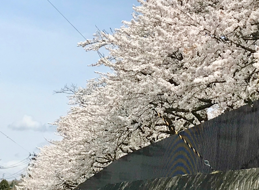 f:id:bochibochidou:20180418202059j:plain