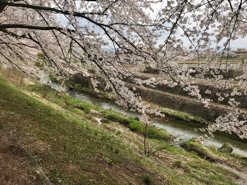 f:id:bochibochidou:20180418202948j:plain