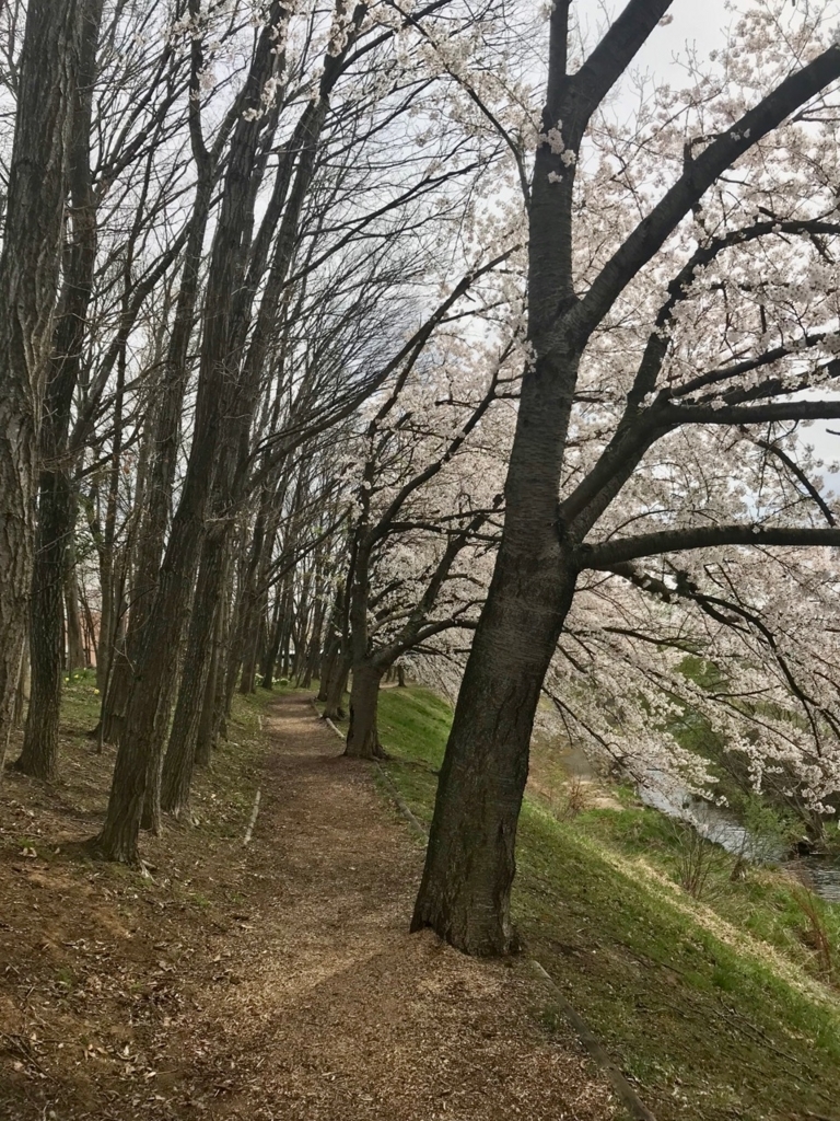 f:id:bochibochidou:20180418202950j:plain