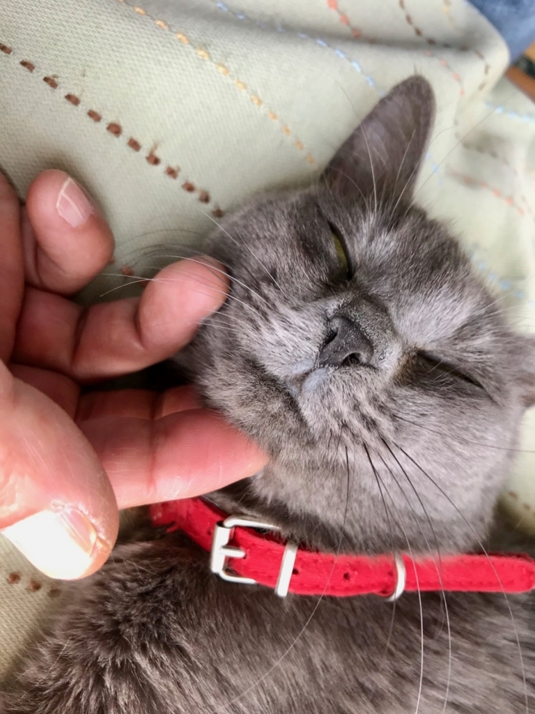 f:id:bochibochidou:20180503202520j:plain