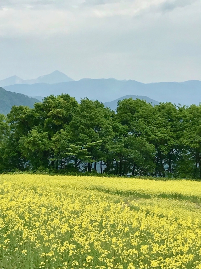f:id:bochibochidou:20180530201032j:plain