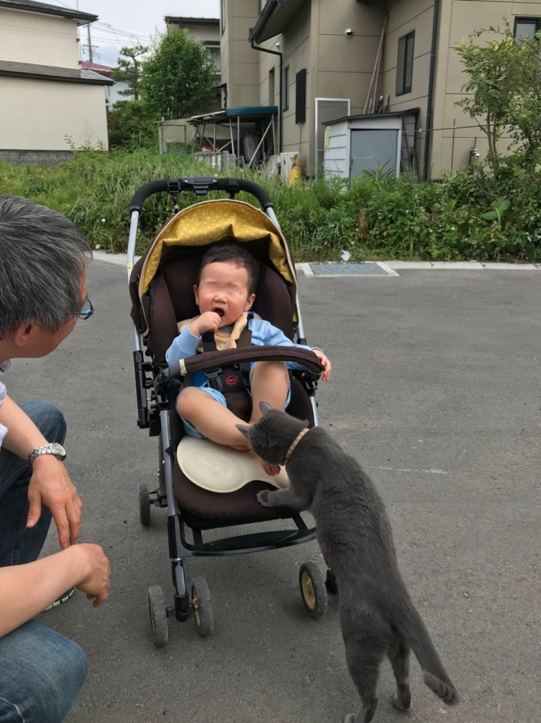 f:id:bochibochidou:20180620204710j:plain