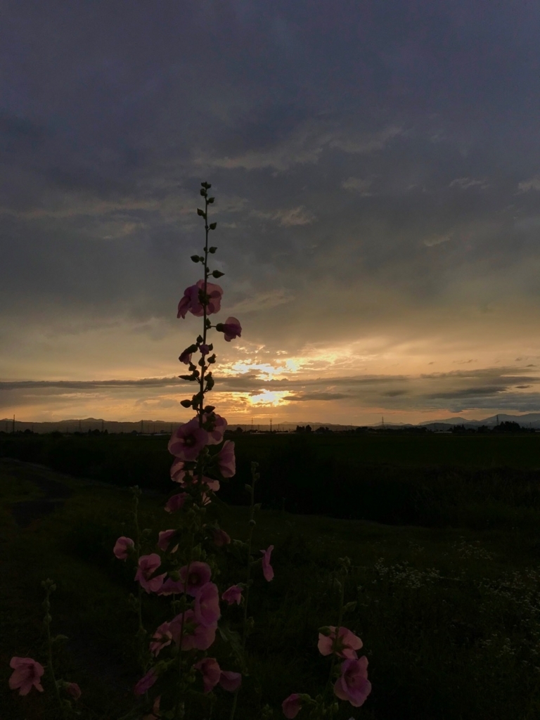 f:id:bochibochidou:20180630204821j:plain