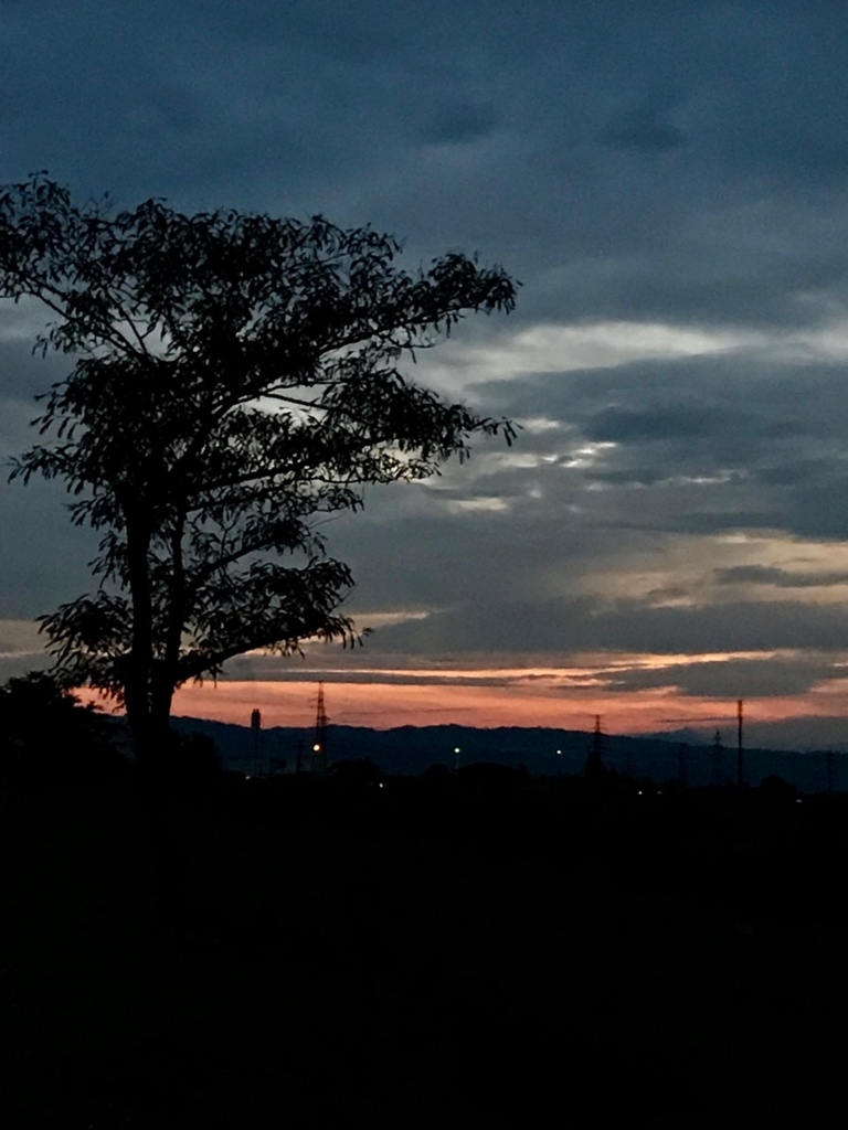f:id:bochibochidou:20180630204853j:plain