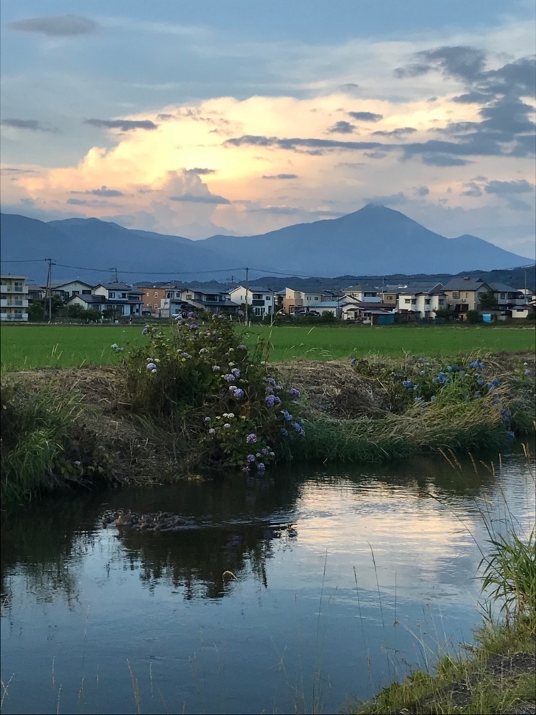 f:id:bochibochidou:20180701203124j:plain