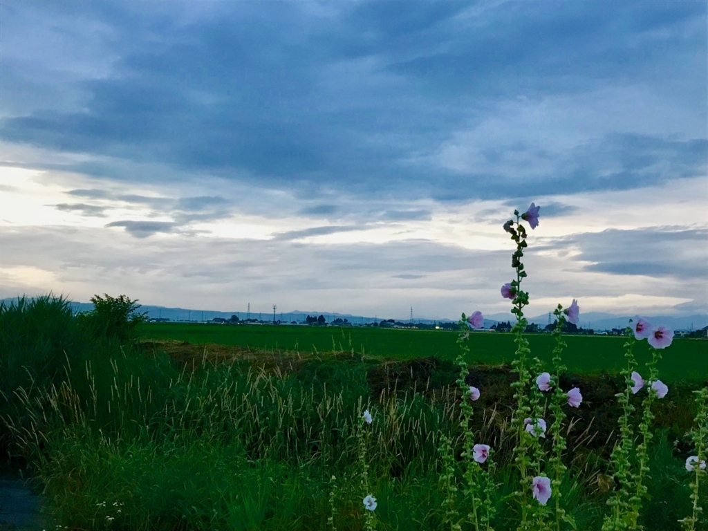 f:id:bochibochidou:20180704201721j:plain f:id:bochibochidou:20180704201721j:plain