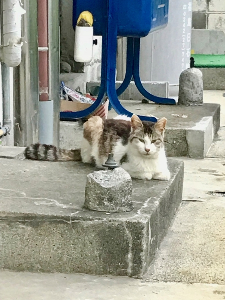 f:id:bochibochidou:20180704202215j:plain f:id:bochibochidou:20180704202215j:plain