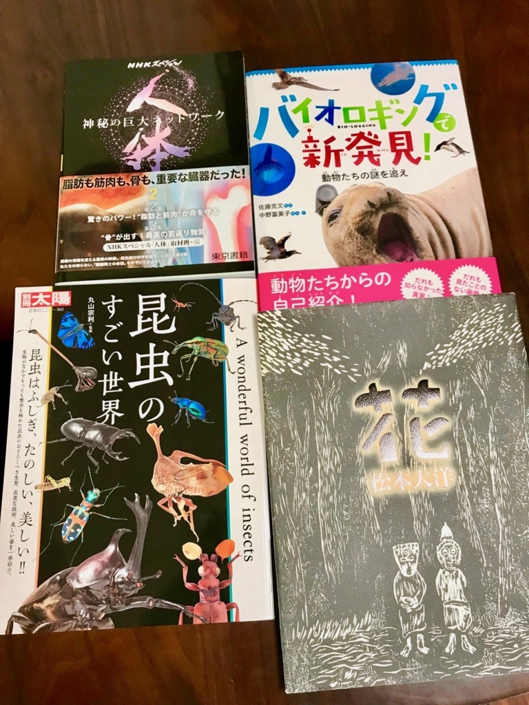 f:id:bochibochidou:20180727203114j:plain