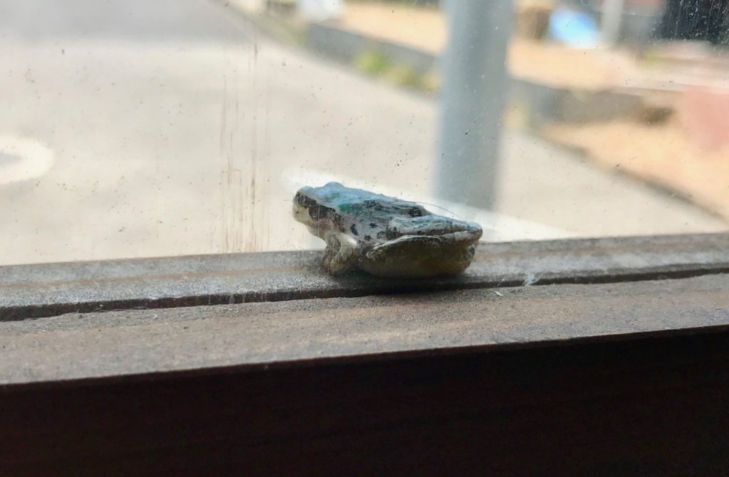 f:id:bochibochidou:20180806200843j:plain f:id:bochibochidou:20180806200843j:plain