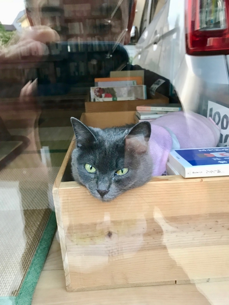 f:id:bochibochidou:20180806201050j:plain f:id:bochibochidou:20180806201050j:plain
