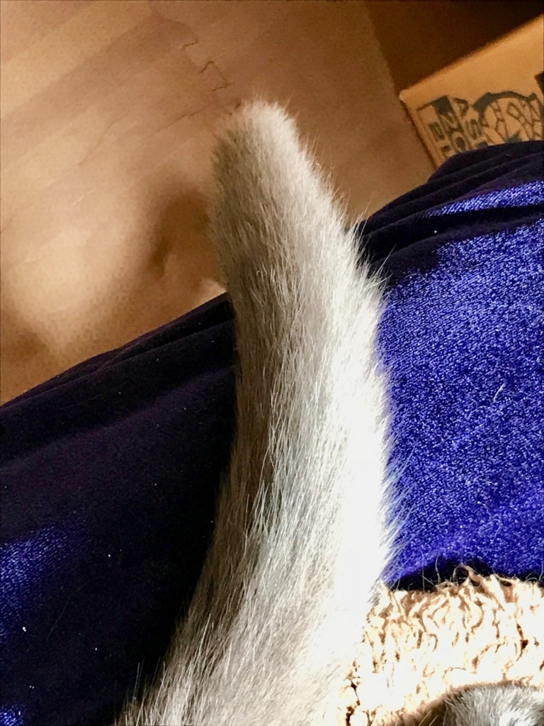 f:id:bochibochidou:20180822202912j:plain