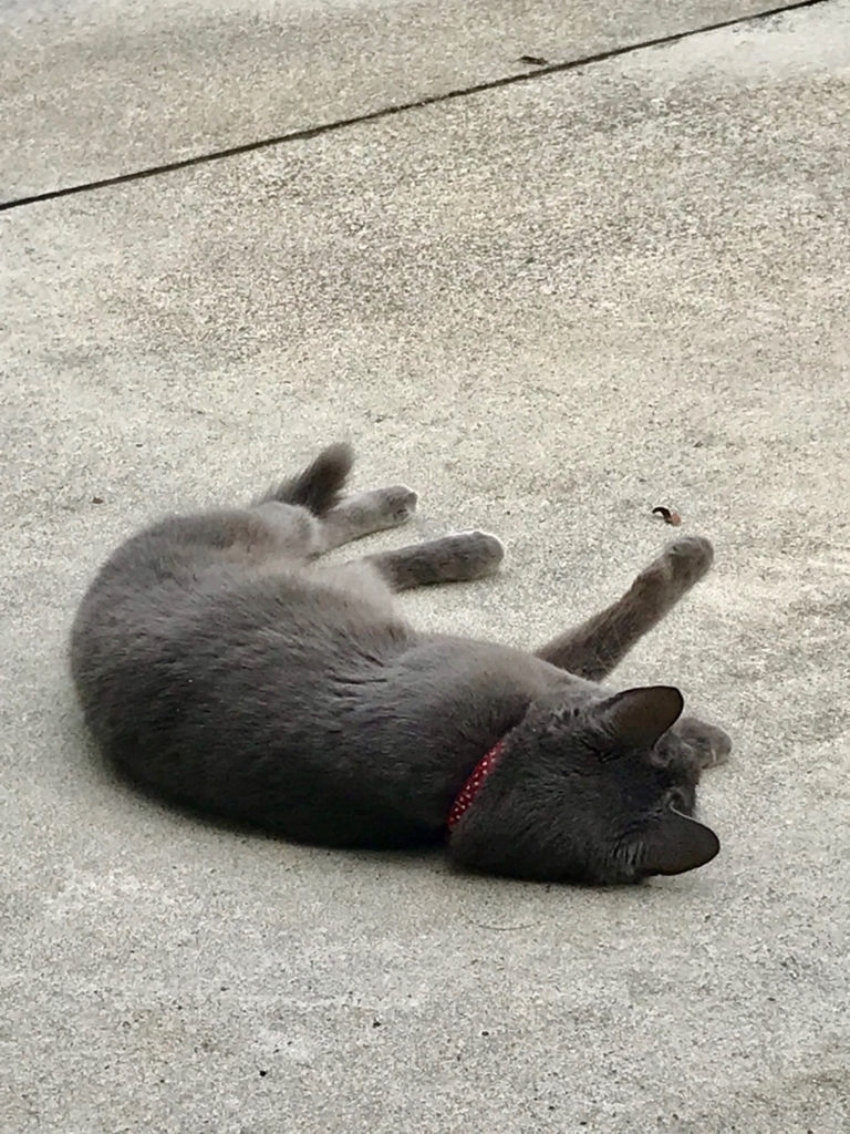 f:id:bochibochidou:20180826204628j:plain