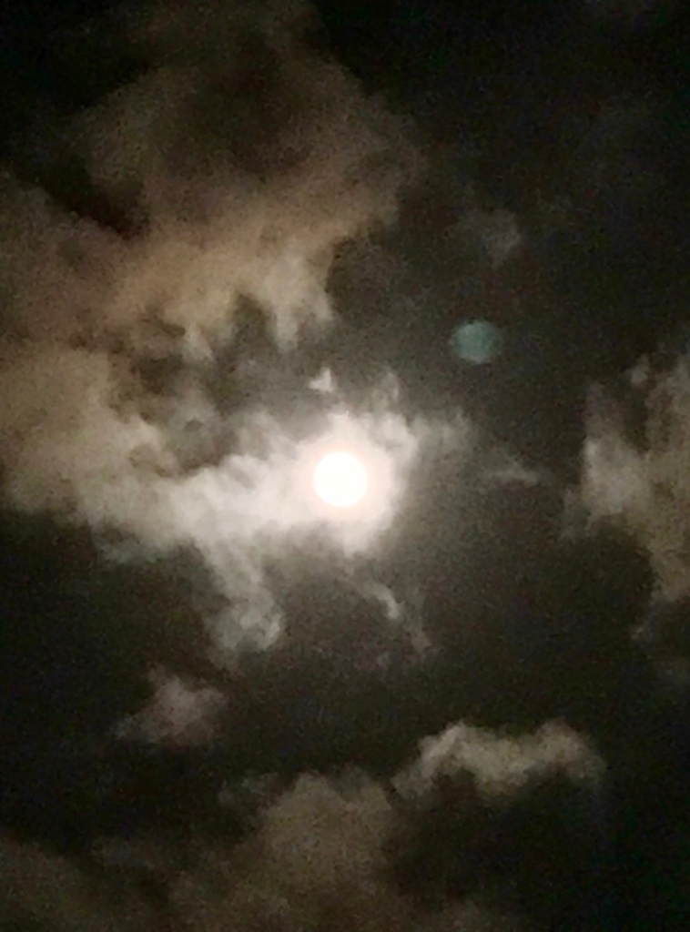f:id:bochibochidou:20181024204726j:plain