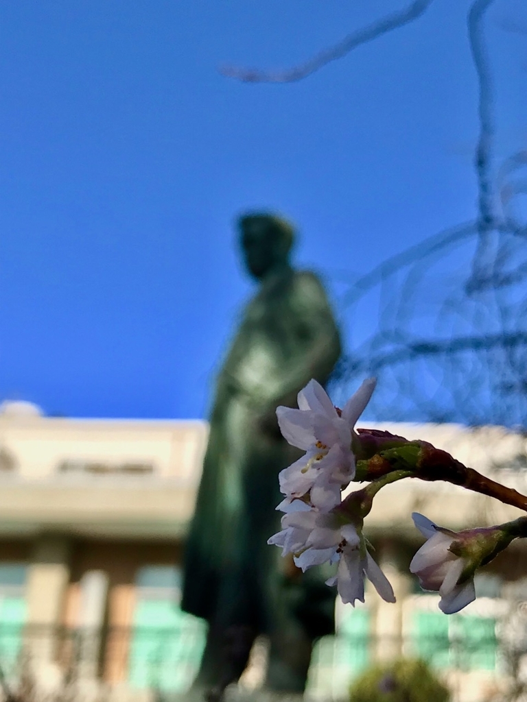 f:id:bochibochidou:20181127202429j:plain f:id:bochibochidou:20181127202429j:plain