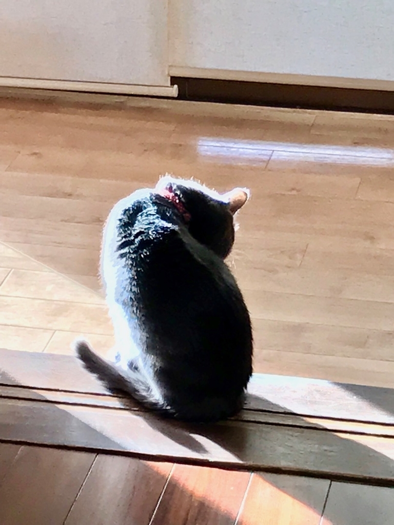 f:id:bochibochidou:20181204200937j:plain