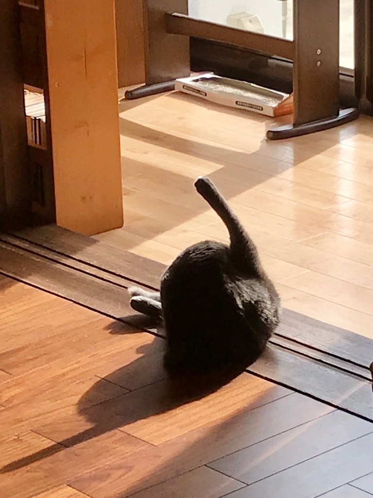 f:id:bochibochidou:20181216202040j:plain f:id:bochibochidou:20181216202040j:plain