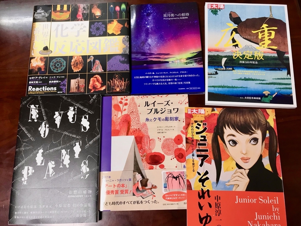 f:id:bochibochidou:20190105201048j:plain