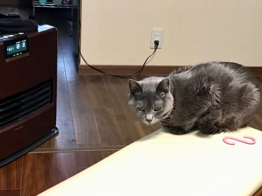 f:id:bochibochidou:20190109193143j:plain f:id:bochibochidou:20190109193143j:plain