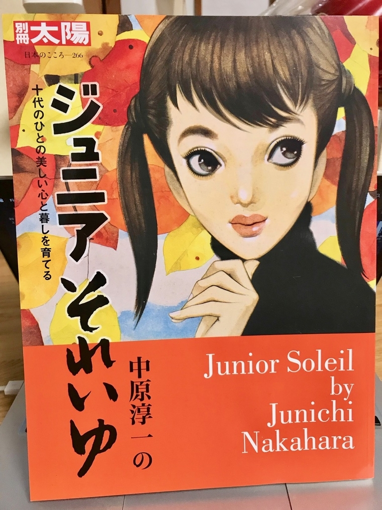f:id:bochibochidou:20190110200441j:plain
