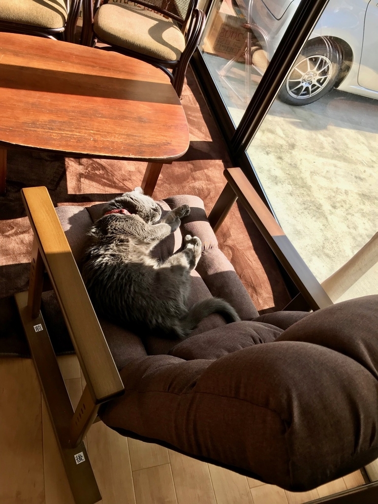 f:id:bochibochidou:20190113204314j:plain