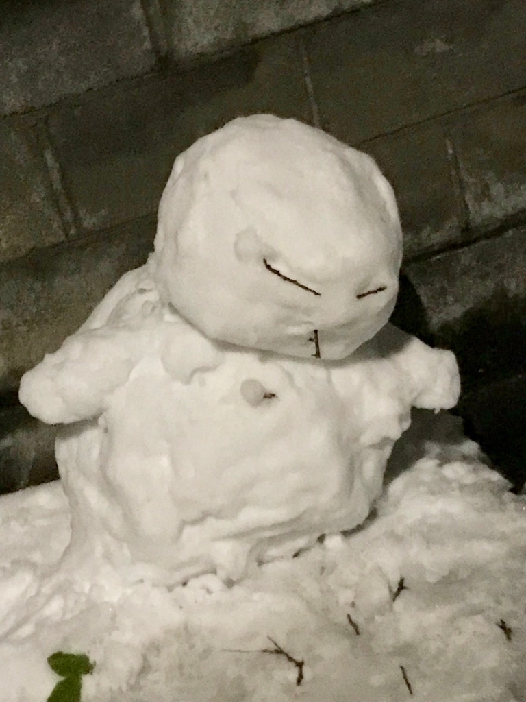 f:id:bochibochidou:20190119200445j:plain f:id:bochibochidou:20190119200445j:plain
