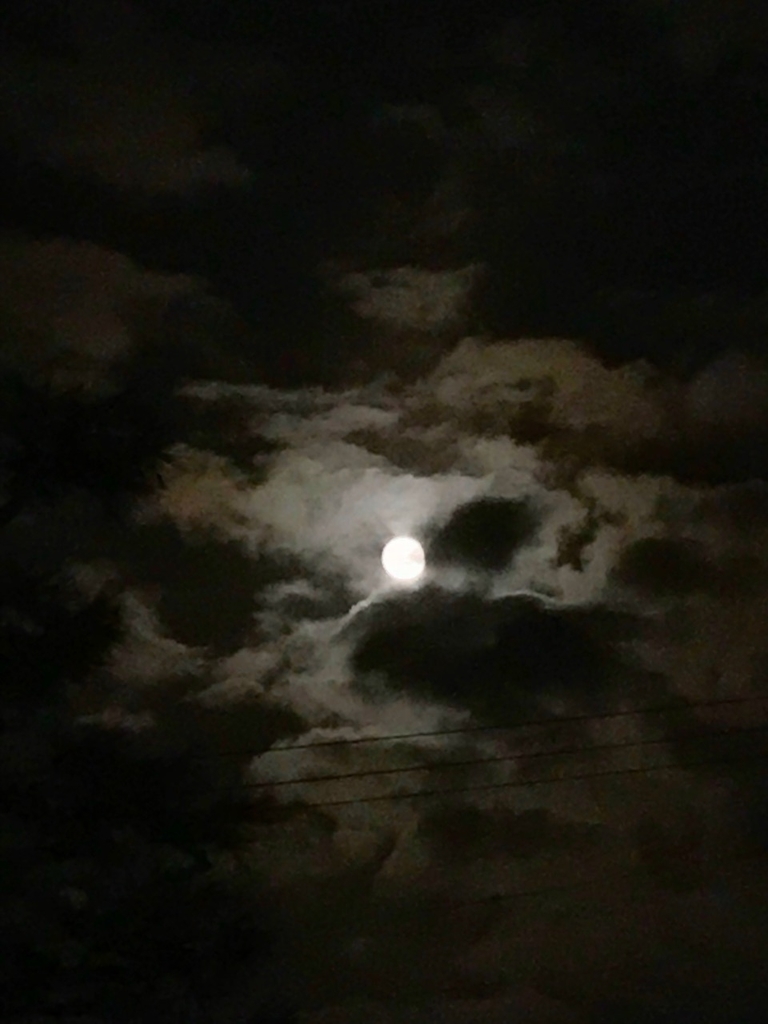 f:id:bochibochidou:20190122200926j:plain