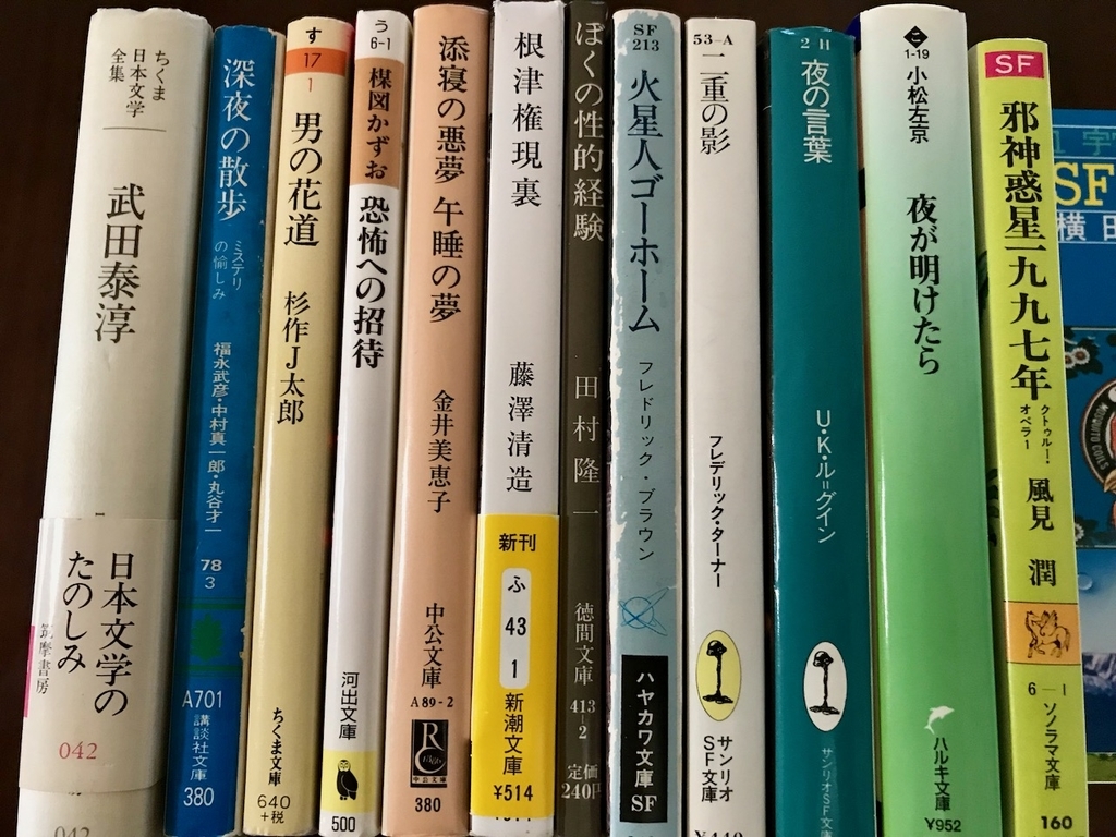f:id:bochibochidou:20190122202118j:plain