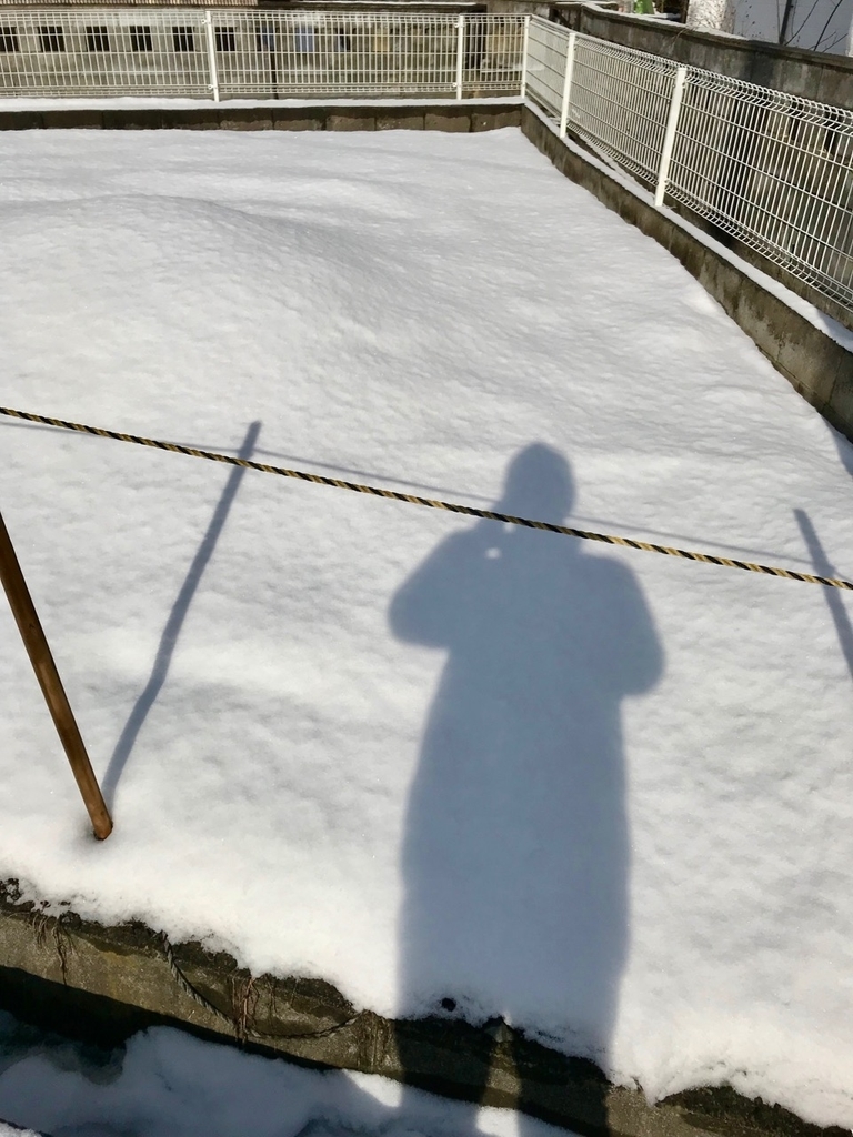 f:id:bochibochidou:20190126194211j:plain