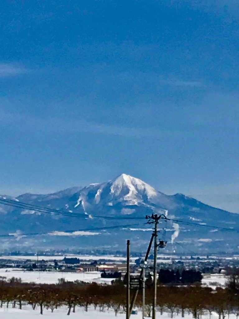 f:id:bochibochidou:20190129194207j:plain f:id:bochibochidou:20190129194207j:plain