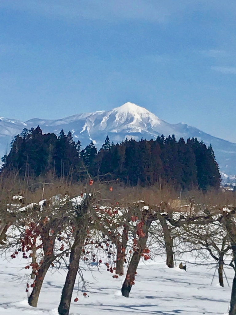 f:id:bochibochidou:20190129195000j:plain f:id:bochibochidou:20190129195000j:plain