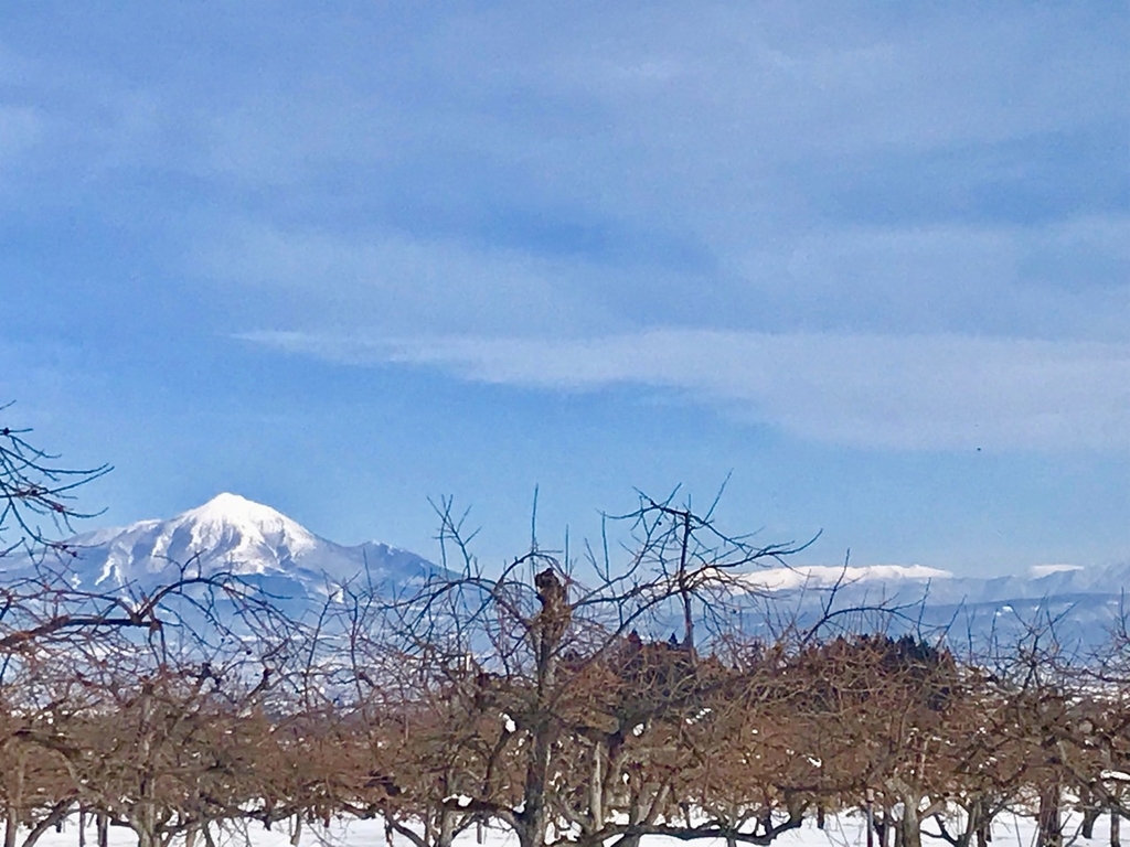 f:id:bochibochidou:20190129195010j:plain f:id:bochibochidou:20190129195010j:plain