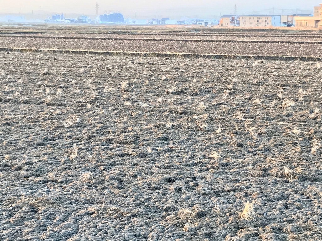 f:id:bochibochidou:20190222204020j:plain f:id:bochibochidou:20190222204020j:plain