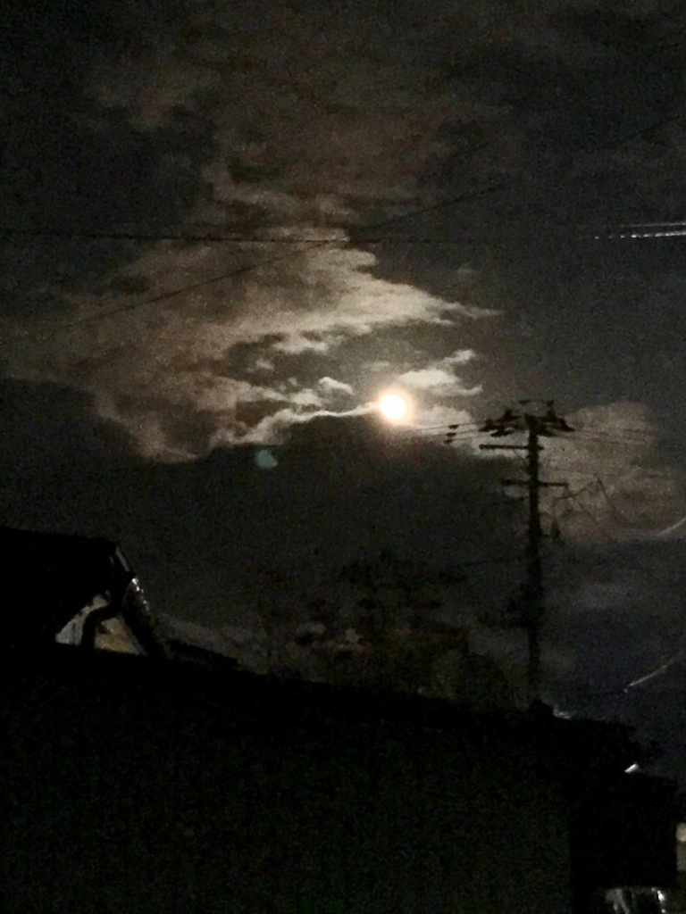 f:id:bochibochidou:20190222204151j:plain f:id:bochibochidou:20190222204151j:plain