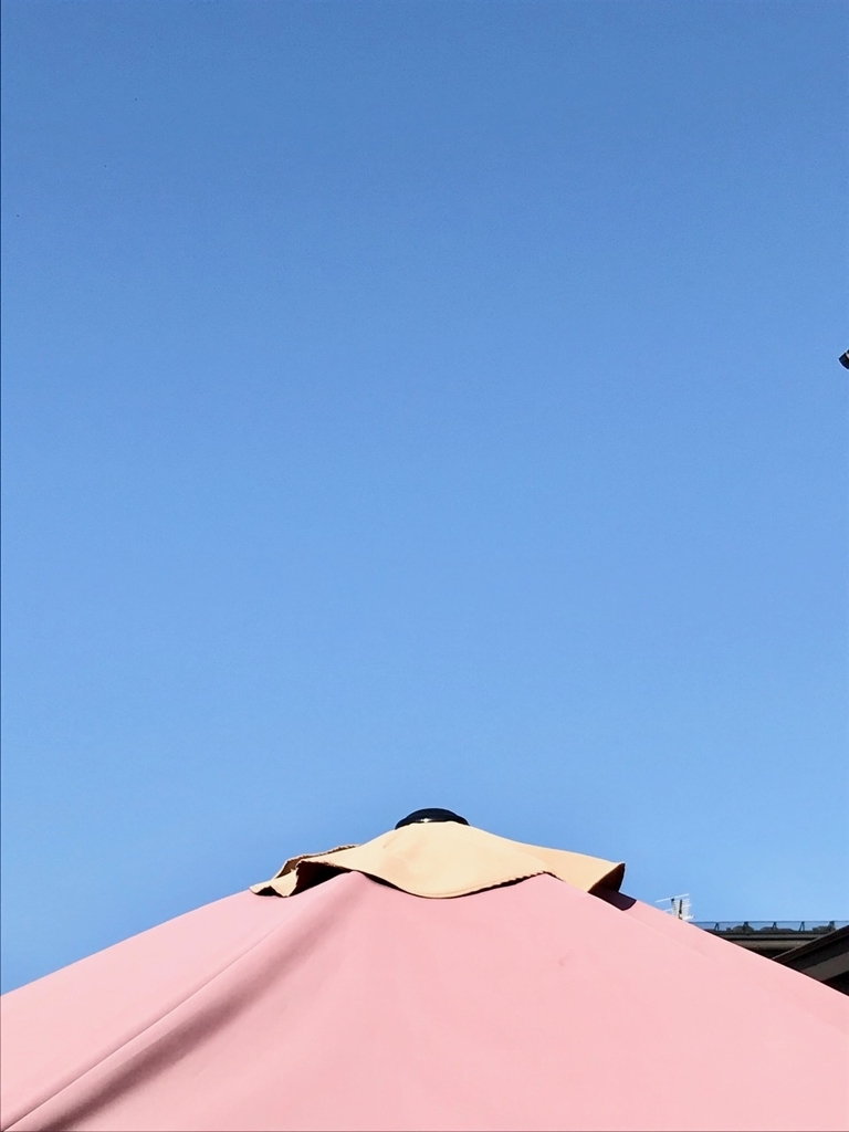 f:id:bochibochidou:20190309204045j:plain f:id:bochibochidou:20190309204045j:plain