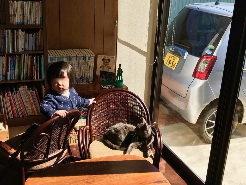 f:id:bochibochidou:20190309204617j:plain f:id:bochibochidou:20190309204617j:plain