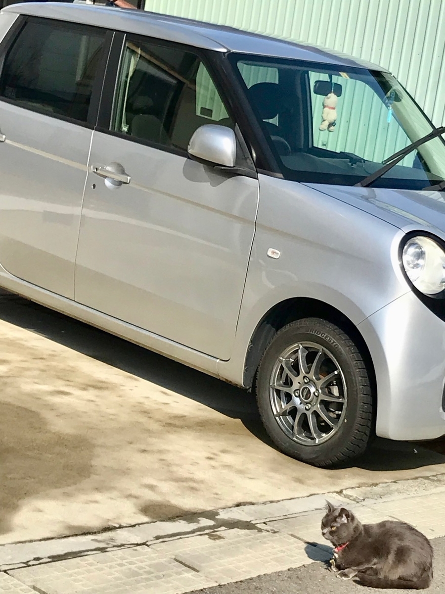 f:id:bochibochidou:20190314201953j:plain f:id:bochibochidou:20190314201953j:plain