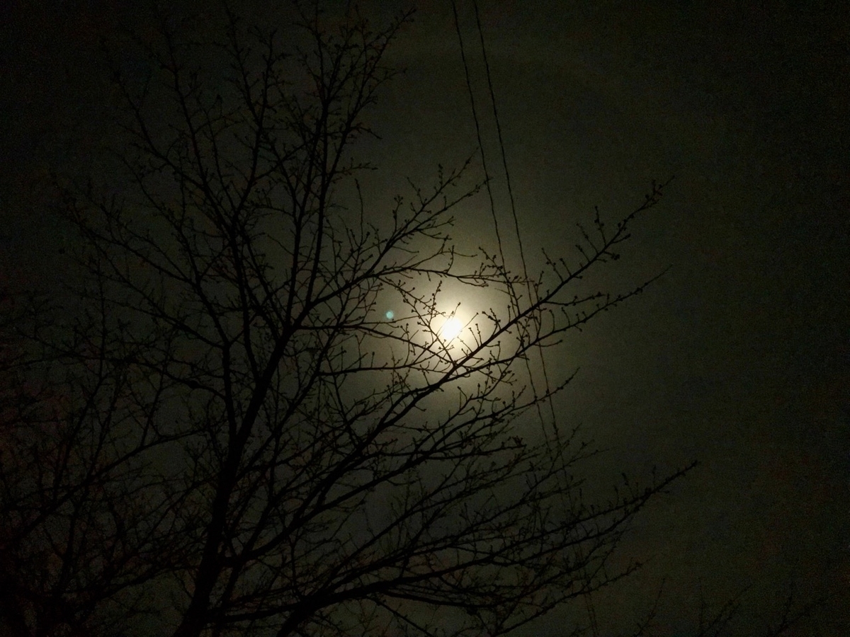 f:id:bochibochidou:20190322194210j:plain