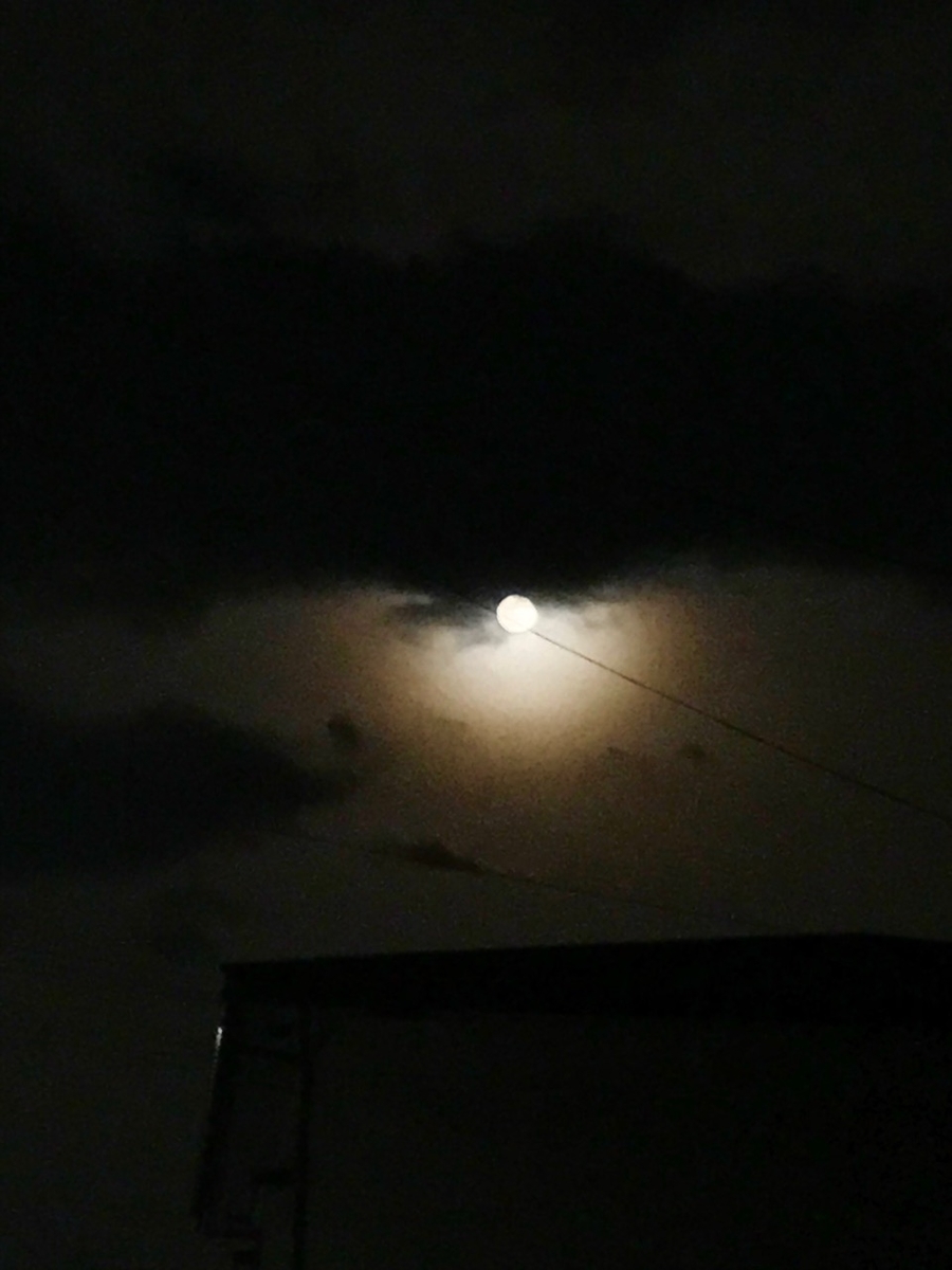 f:id:bochibochidou:20190322194216j:plain
